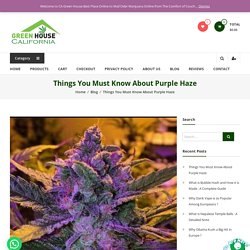 Buy Purple Haze Online