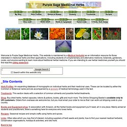 Purple Sage Medicinal Herbs