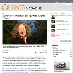 In Pursuit of Quantum Biology With Birgitta Whaley