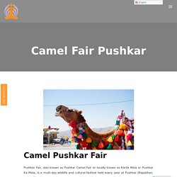 Pushkar Camel Fair - Rituals Performed