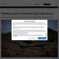 Putting a price on nature may help save it