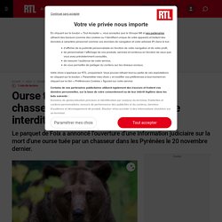 Ourse tuée dans les Pyrénées : le chasseur se trouvait dans une zone interdite à la chasse
