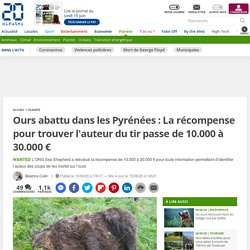 Ours abattu dans les Pyrénées : La récompense pour trouver l'auteur du tir passe de 10.000 à 30.000 €