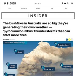 Australia's Deadly Bushfires Are So Big They've Started Generating Their Own Weather
