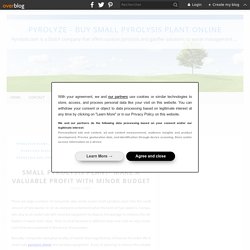 Small pyrolysis plant- Make a valuable profit with minor budget - Pyrolyze - Buy Small Pyrolysis Plant online