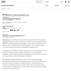Python persistence management