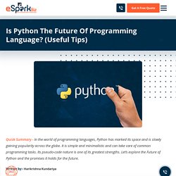 Is Python The Future Of Programming Language? (Useful Tips)