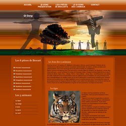 Qi Gong les 5 Animaux le tigre