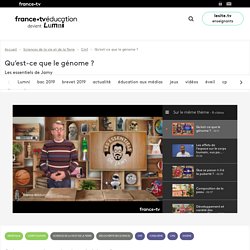 Génétique : le génome