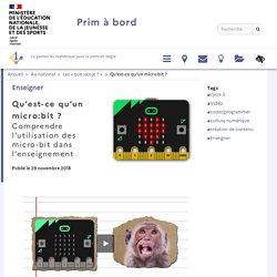 Qu'est-ce qu'un micro:bit ?