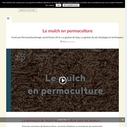 Le mulch en permaculture : PermacultureDesign