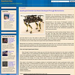 Quadruped Cheetah-Cub Robot Developed Through Biomechanics