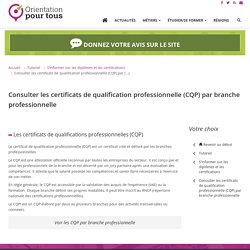 Consulter les certificats de qualification professionnelle (CQP) par branche professionnelle