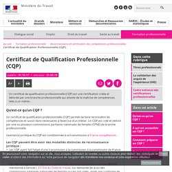 Certificat de Qualification Professionnelle (CQP)