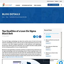 Top Qualities of a Lean Six Sigma Black Belt