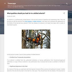 What qualities should you look for in a skilled arborist?