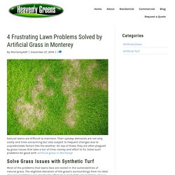 Lawn Issues Solved by Top-Quality Artificial Grass in Monterey