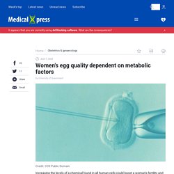 Women's egg quality dependent on metabolic factors