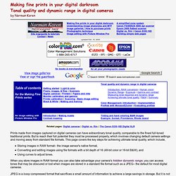 Tonal quality and dynamic range in digital cameras