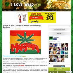 Guide to Bud Quality, Quantity, and Smoking Devices