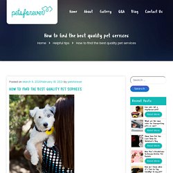 How to find the best quality pet services
