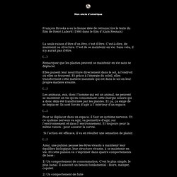 Quant à soi :: :: ::: Mon oncle d'amérique (textes du film)