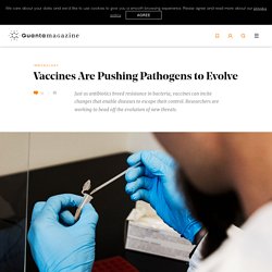 QuantaMag: Vaccines Are Pushing Pathogens to Evolve