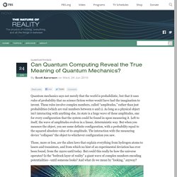 Can Quantum Computing Reveal the True Meaning of Quantum Mechanics? - The Nature of Reality — The Nature of Reality
