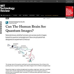 Can The Human Brain See Quantum Images?