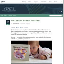Is Quantum Intuition Possible? - The Nature of Reality — The Nature of Reality