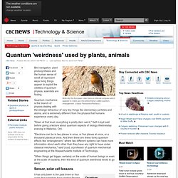 Quantum 'weirdness' used by plants, animals - Technology & Science
