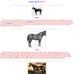 Quarter Horse Profiles