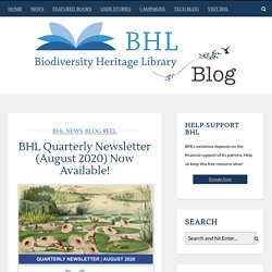 BHL Quarterly Newsletter (August 2020) Now Available!