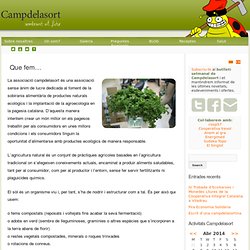 Campdelasort Blog
