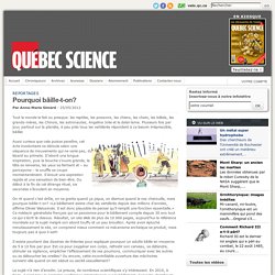 Québec Science - Pourquoi baille-t-on?