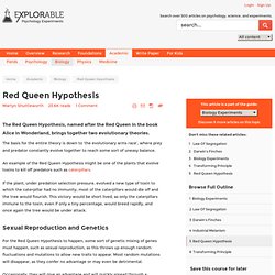 Red Queen Hypothesis - The Evolutionary Arms Race