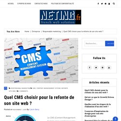 Quel CMS choisir pour la refonte de son site web ? – Neting