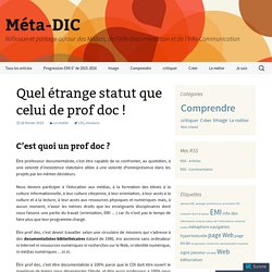 Quel étrange statut que celui de prof doc !