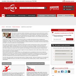 Creation d'entreprise cr?ation soci?t? sarl eurl sci aide conseil pour la creation d?entreprise NetPME