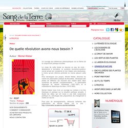 De quelle révolution avons-nous besoin ?
