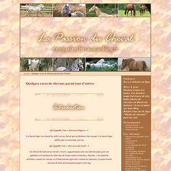 Quelques races de chevaux parmi tant d’autres · La Passion du Cheval