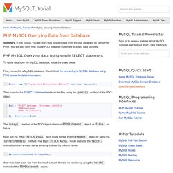 PHP PDO Querying Data from MySQL Database