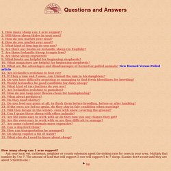 Icelandic sheep Question and Answer Page