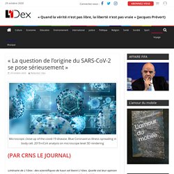 « La question de l'origine du SARS-CoV-2 se pose sérieusement » - L'1dex