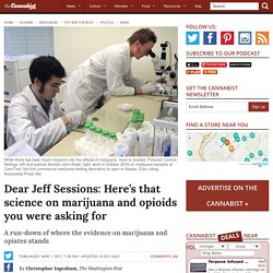 Jeff Sessions questioned the research on marijuana mitigating the opioid abuse epidemic. Here is a summary of what is currently known