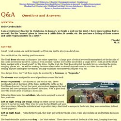 Cowboy Bob's Questions and Answers - page 216 - What were the various positions on a cattle drive?