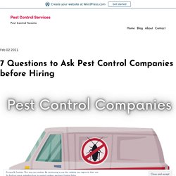 7 Questions to Ask Pest Control Companies before Hiring