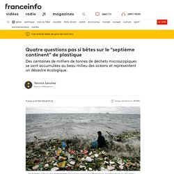 Quatre questions pas si bêtes sur le "septième continent" de plastique