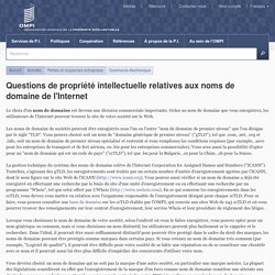 Questions de propriété intellectuelle relatives aux noms de domaine de l'Internet