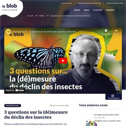 3 questions sur la (dé)mesure du déclin des insectes